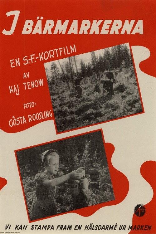 In the Berry Fields 1941 official movie poster