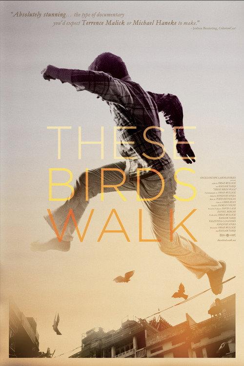 These Birds Walk 2012 official movie poster
