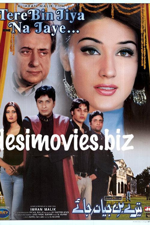 Tere Bin Jiya Na Jaye 2005 official movie poster