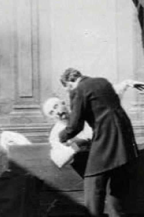 Doctor Knows What to Do 1899 official movie poster