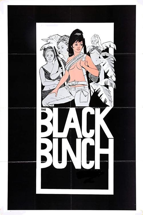 The Black Bunch 1973 official movie poster