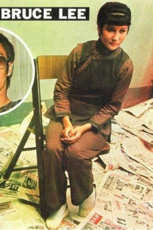 The Last Days of Bruce Lee 1973 official movie poster