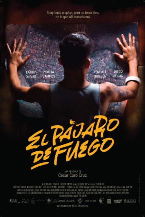 Bird of Fire 2021 official movie poster