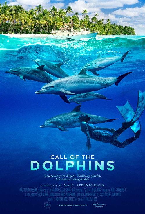 Call of the Dolphins 2025 official movie poster
