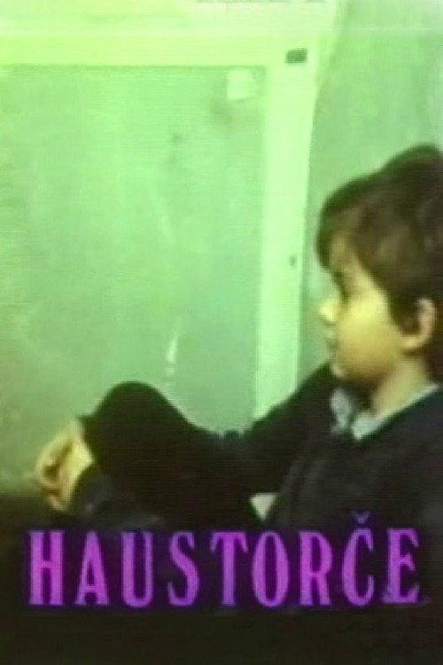 Small Doorway 1987 official movie poster