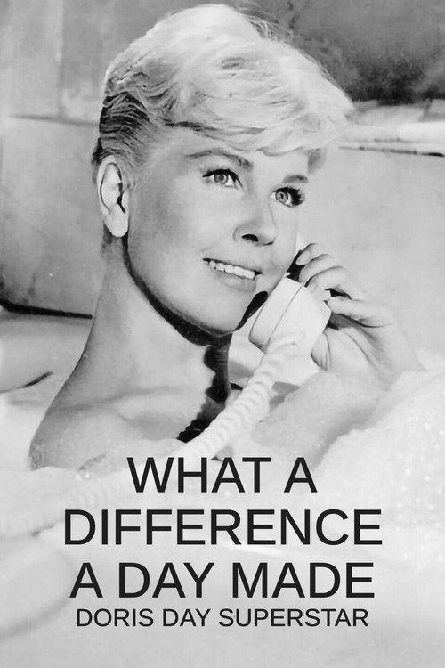 What a Difference a Day Made: Doris Day Superstar 2009 official movie poster