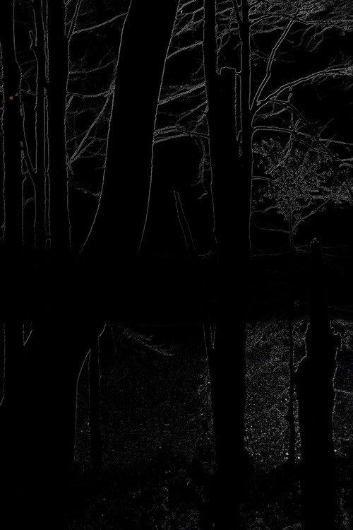 The Heart of the Wood 2025 official movie poster