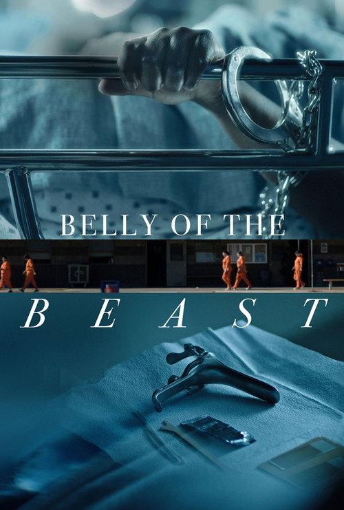 Belly of the Beast 2020 official movie poster