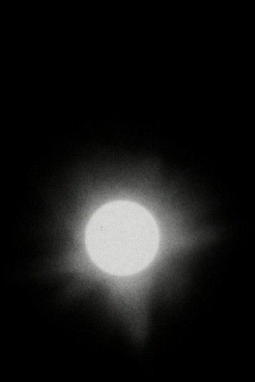 The Transit of Venus 2005 official movie poster