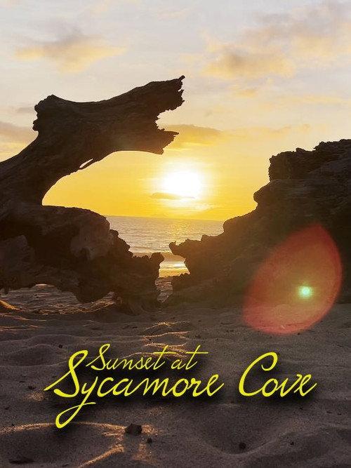 Sunset at Sycamore Cove official movie poster