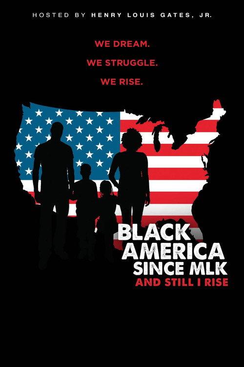 Black America since MLK: And still I rise 2016 official movie poster