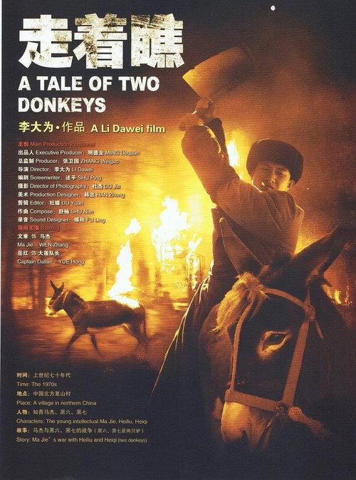 A Tale of Two Donkeys 2009 official movie poster