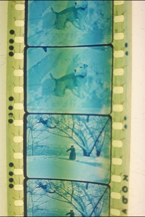 When Winter Comes 1921 official movie poster