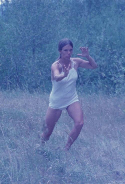 Tai Chi 1975 official movie poster