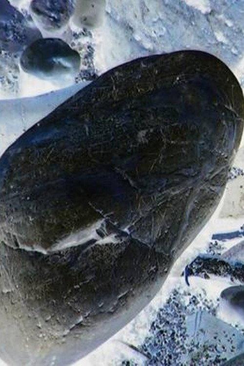 Ecosystem 20 ~ Stone 2013 official movie poster