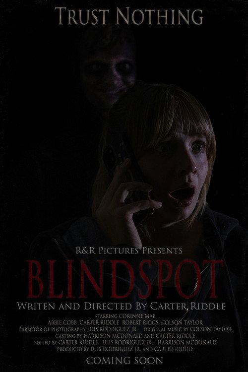 BLINDSPOT 2026 official movie poster
