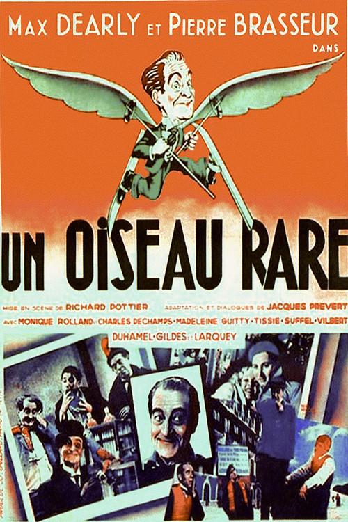 A Rare Bird 1935 official movie poster