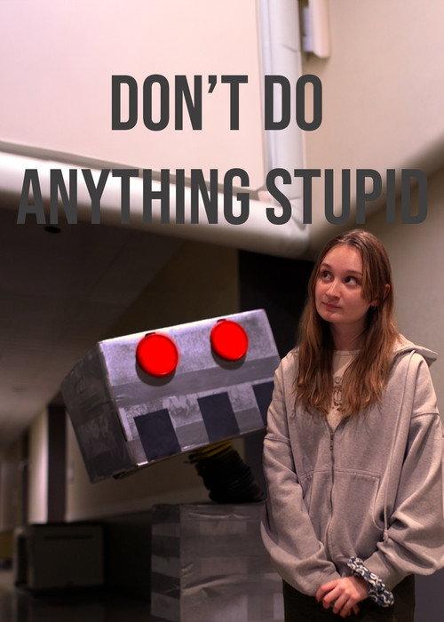 Don't Do Anything Stupid 2023 official movie poster