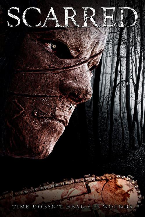 Scarred 2013 official movie poster
