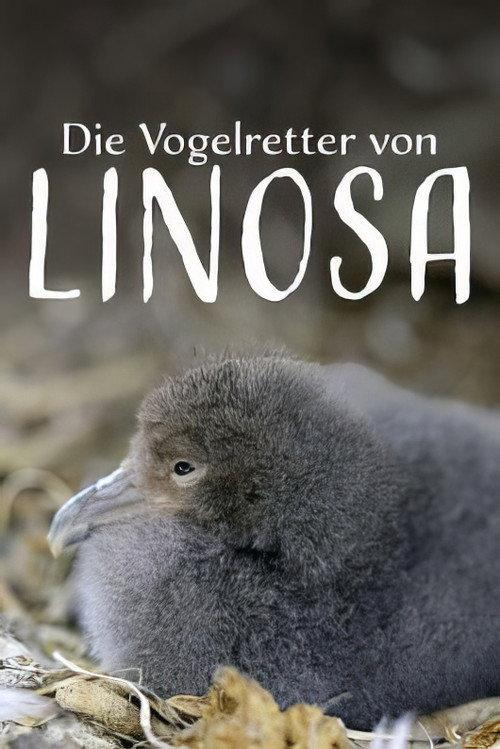 Die Vogelretter von Linosa 2025 official movie poster