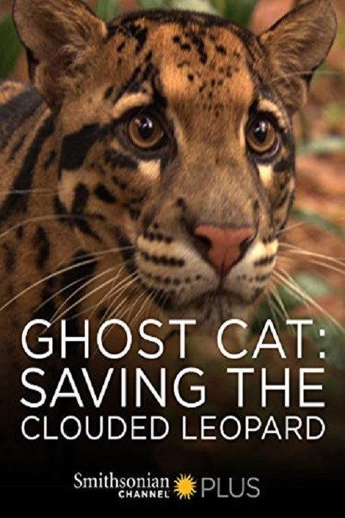 Ghost Cat: Saving the Clouded Leopard 2007 official movie poster