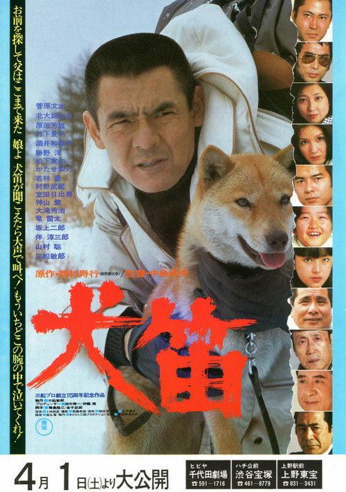 Shag 1978 official movie poster