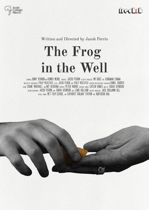 The Frog in The Well 2025 official movie poster