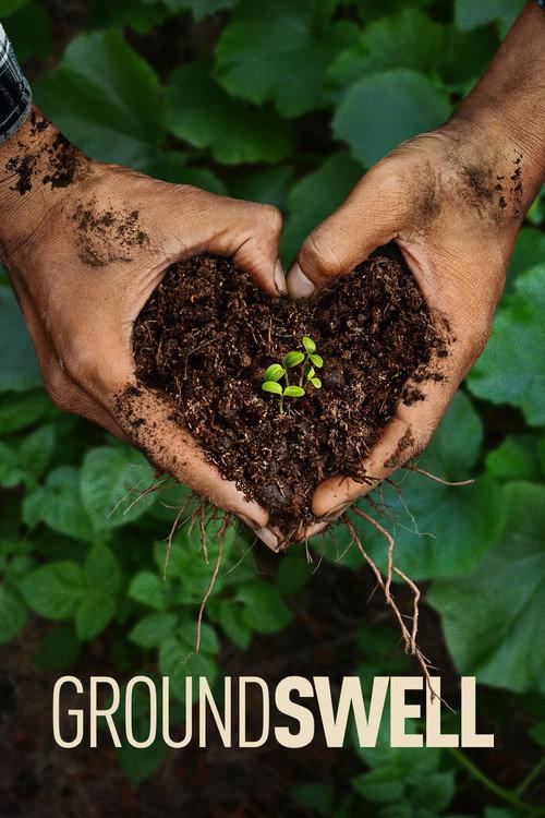 Groundswell 2026 official movie poster