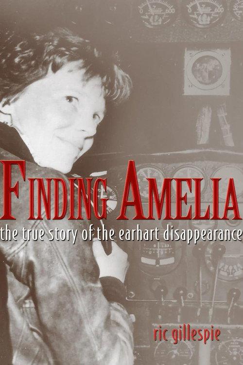 Finding Amelia 2010 official movie poster