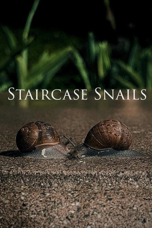 Staircase Snails 2025 official movie poster