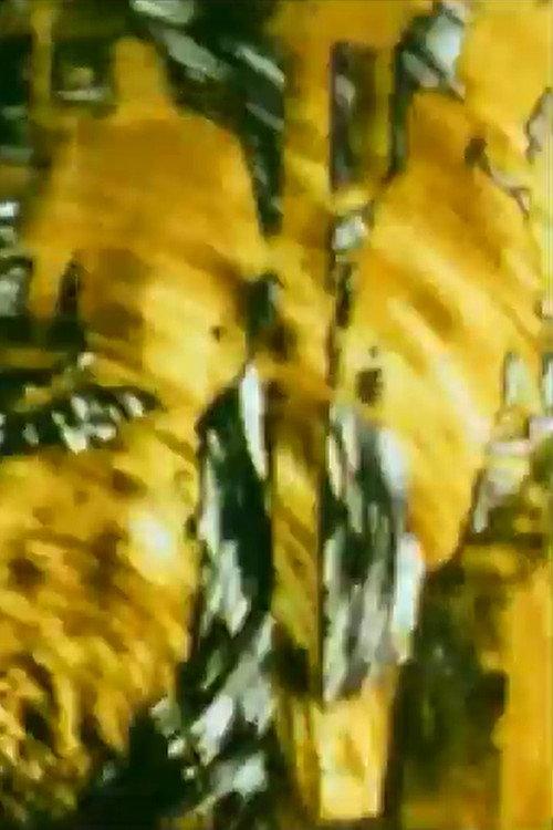 Turmoil 2000 official movie poster