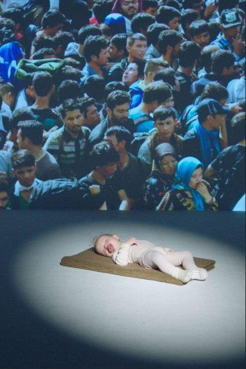Kitten Or Refugee? 2023 official movie poster