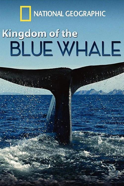 Kingdom of the Blue Whale 2009 official movie poster