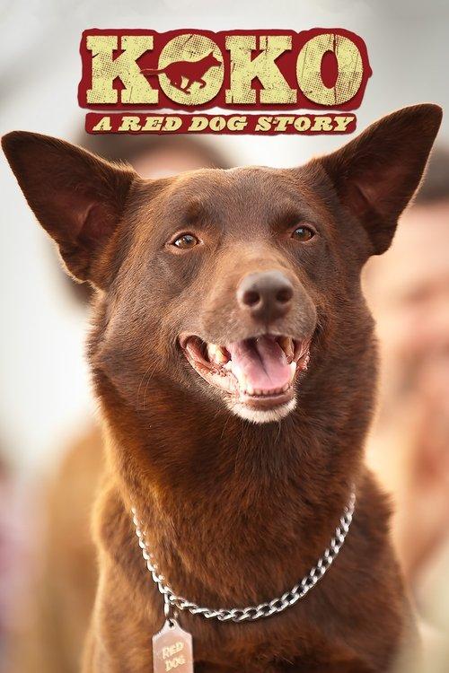 Koko: A Red Dog Story 2019 official movie poster