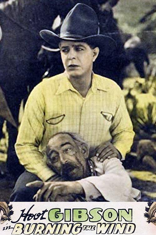 Burning the Wind 1929 official movie poster