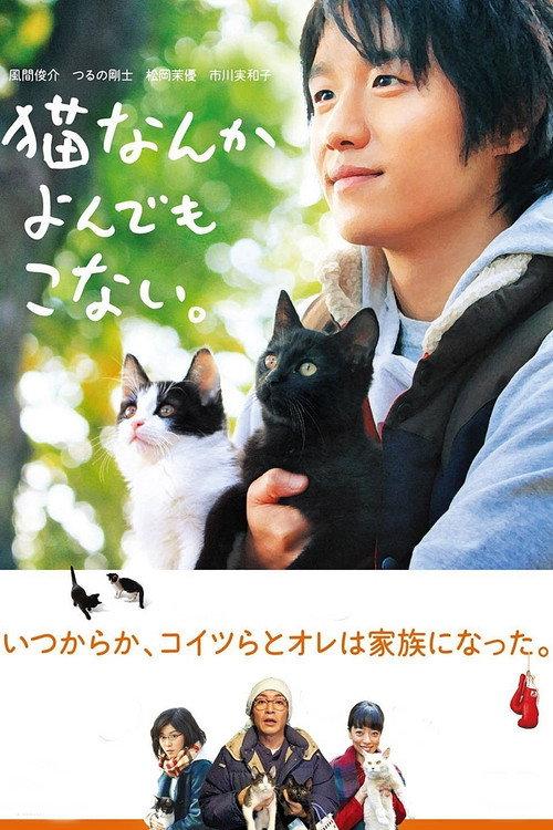 Cats Don't Come When You Call 2016 official movie poster