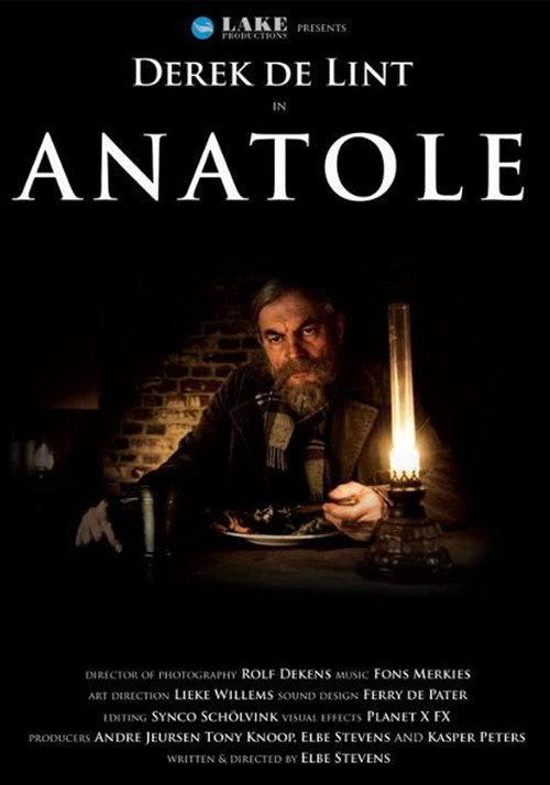 Anatole 2011 official movie poster