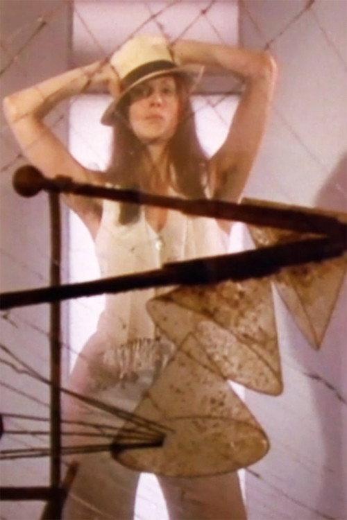 Hannah Wilke Through the Large Glass 1976 official movie poster