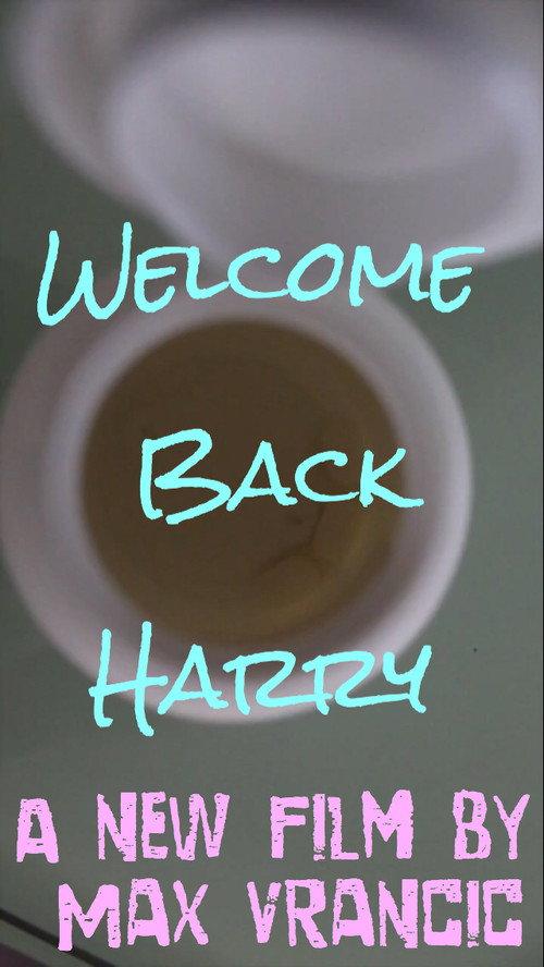 Welcome Back Harry 2019 official movie poster