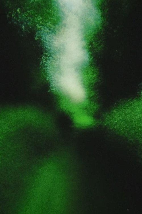 Brouillard #12 2013 official movie poster