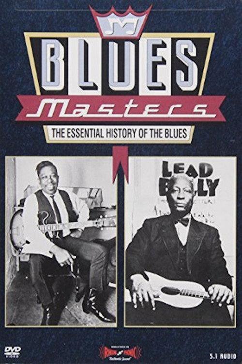 Blues Masters - The Essential History of the Blues 1993 official movie poster