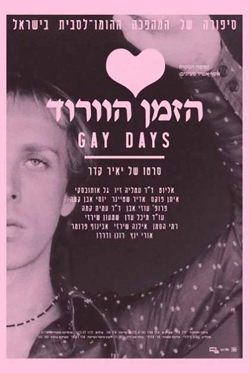 Gay Days 2009 official movie poster