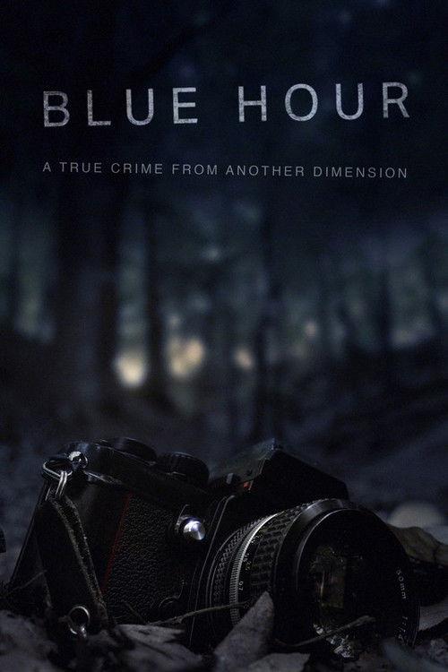 Blue Hour: The Disappearance of Nick Brandreth 2023 official movie poster