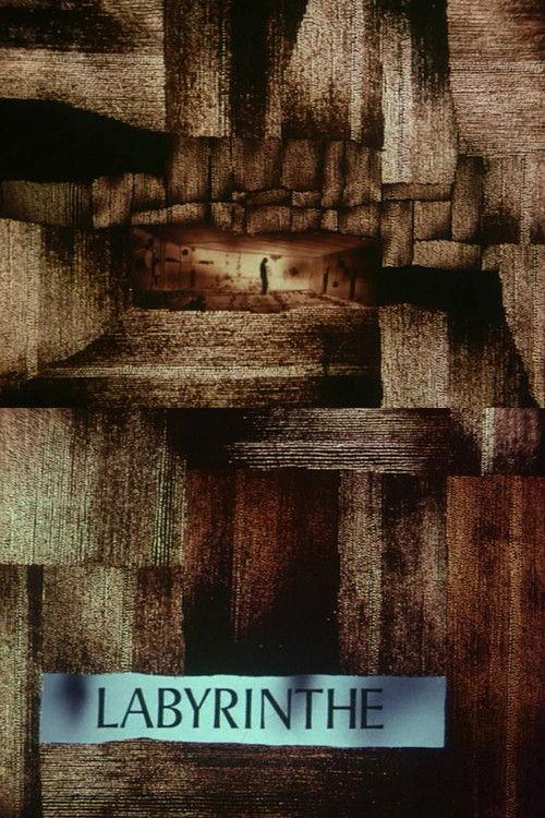 Labyrinth 1969 official movie poster
