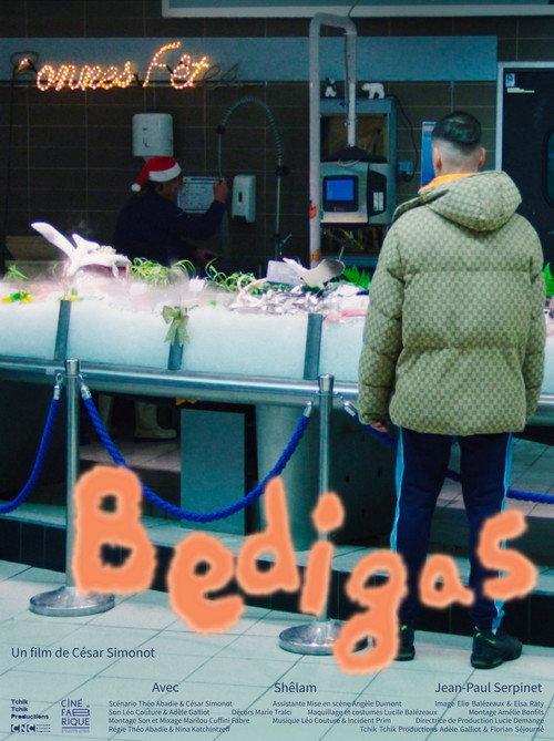 Bedigas 2024 official movie poster