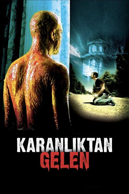 From The Darkness 2007 official movie poster