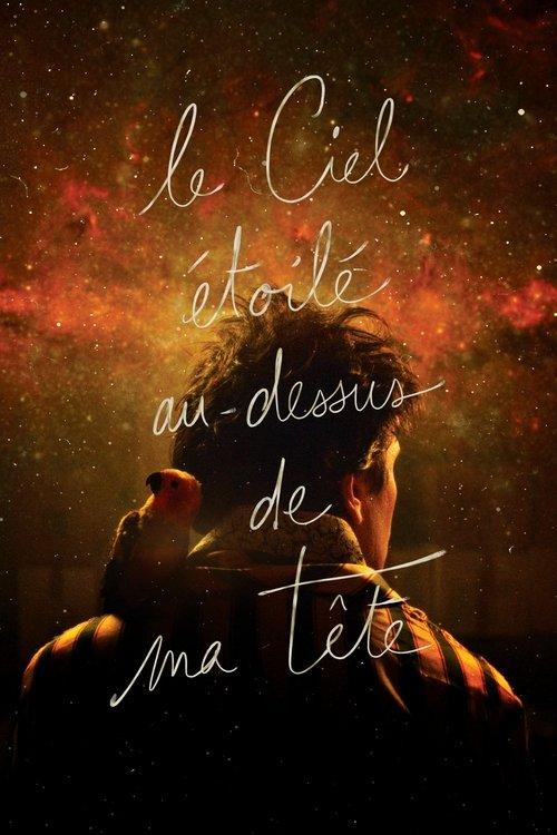 The Starry Sky Above Me 2018 official movie poster