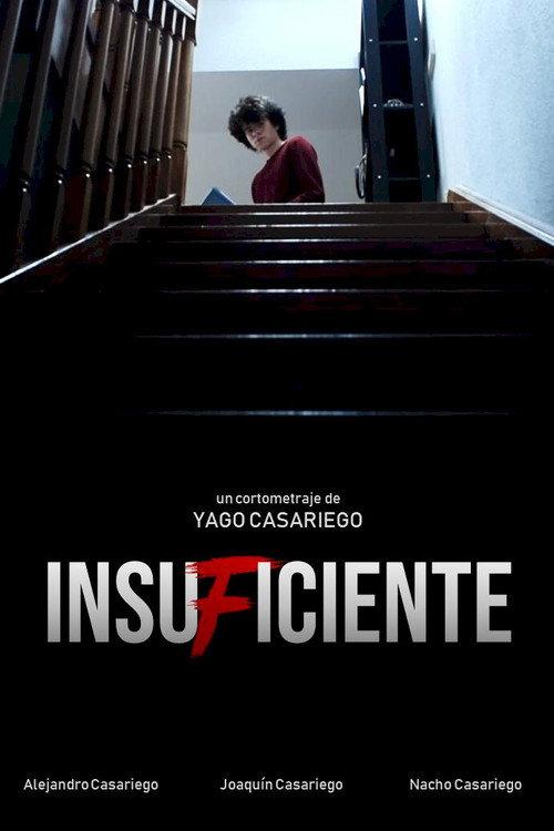 Insuficiente 2020 official movie poster