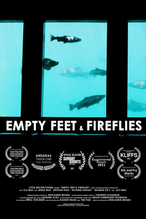 Empty Feet & Fireflies 2021 official movie poster