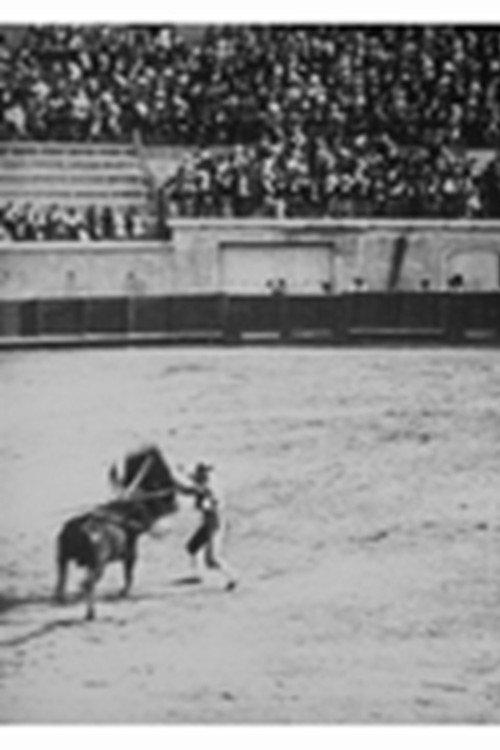 Course de taureaux : estocade 1899 official movie poster
